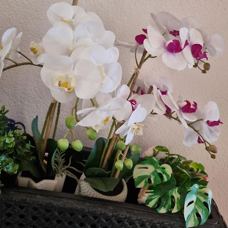 Alloggio Orchidea Monfalcone Exterior foto