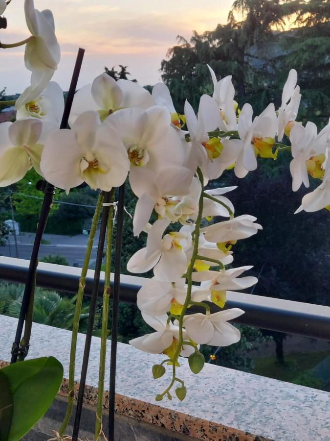 Alloggio Orchidea Monfalcone Exterior foto